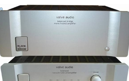 Valve Audio Blackwidow Monoblocks x 2